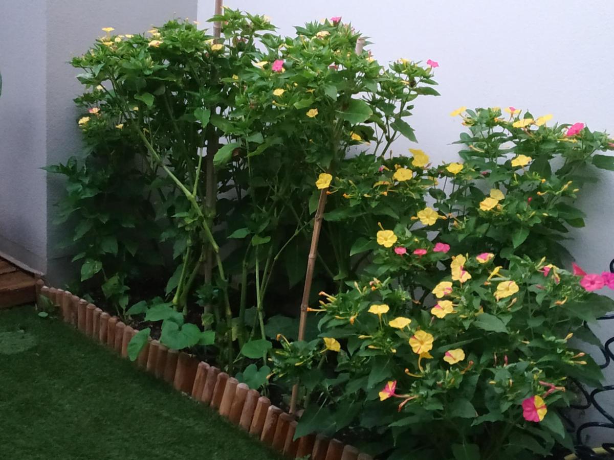 Appartement Rez De Jardin Avec Spa Entre La Mer Et Montpellier 10Mn Lattes Zewnętrze zdjęcie