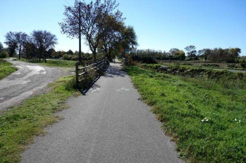 Appartement Rez De Jardin Avec Spa Entre La Mer Et Montpellier 10Mn Lattes Zewnętrze zdjęcie